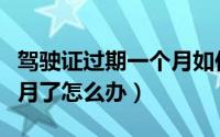 驾驶证过期一个月如何处理（驾驶证过期一个月了怎么办）