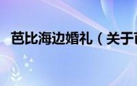 芭比海边婚礼（关于芭比海边婚礼的简介）