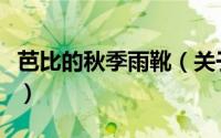 芭比的秋季雨靴（关于芭比的秋季雨靴的简介）