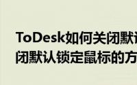 ToDesk如何关闭默认锁定鼠标（ToDesk关闭默认锁定鼠标的方法）