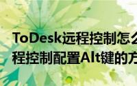 ToDesk远程控制怎么配置Alt键（ToDesk远程控制配置Alt键的方法）