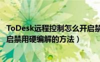 ToDesk远程控制怎么开启禁用硬编解（ToDesk远程控制开启禁用硬编解的方法）