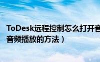 ToDesk远程控制怎么打开音频播放（ToDesk远程控制打开音频播放的方法）