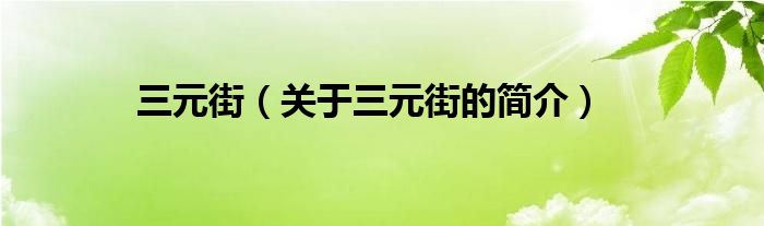 三元街关于三元街的简介