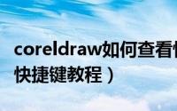 coreldraw如何查看快捷键（coreldraw查看快捷键教程）