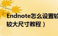 Endnote怎么设置较大尺寸（Endnote设置较大尺寸教程）