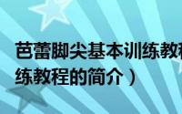 芭蕾脚尖基本训练教程（关于芭蕾脚尖基本训练教程的简介）