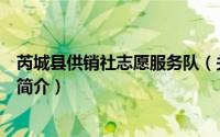 芮城县供销社志愿服务队（关于芮城县供销社志愿服务队的简介）