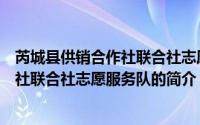 芮城县供销合作社联合社志愿服务队（关于芮城县供销合作社联合社志愿服务队的简介）