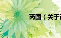 芮国（关于芮国的简介）