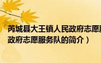 芮城县大王镇人民政府志愿服务队（关于芮城县大王镇人民政府志愿服务队的简介）