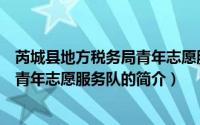 芮城县地方税务局青年志愿服务队（关于芮城县地方税务局青年志愿服务队的简介）