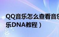 QQ音乐怎么查看音乐DNA（QQ音乐查看音乐DNA教程）