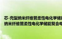 芯-壳型纳米纤维管柔性电化学储能复合电极材料的研究（关于芯-壳型纳米纤维管柔性电化学储能复合电极材料的研究的简介）