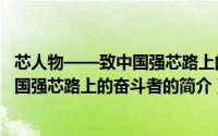 芯人物——致中国强芯路上的奋斗者（关于芯人物——致中国强芯路上的奋斗者的简介）