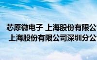 芯原微电子 上海股份有限公司深圳分公司（关于芯原微电子 上海股份有限公司深圳分公司的简介）