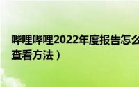 哔哩哔哩2022年度报告怎么查看（哔哩哔哩2022年度报告查看方法）