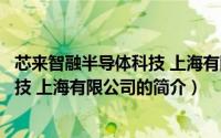 芯来智融半导体科技 上海有限公司（关于芯来智融半导体科技 上海有限公司的简介）