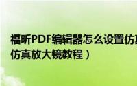 福昕PDF编辑器怎么设置仿真放大镜（福昕PDF编辑器设置仿真放大镜教程）