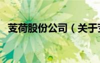 芰荷股份公司（关于芰荷股份公司的简介）