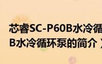 芯睿SC-P60B水冷循环泵（关于芯睿SC-P60B水冷循环泵的简介）