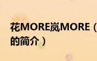 花MORE岚MORE（关于花MORE岚MORE的简介）