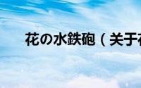 花の水鉄砲（关于花の水鉄砲的简介）