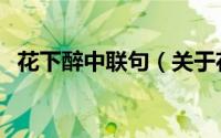 花下醉中联句（关于花下醉中联句的简介）