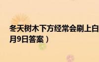 冬天树木下方经常会刷上白色这是为了（支付宝蚂蚁庄园1月9日答案）