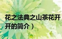 花之法典之山茶花开（关于花之法典之山茶花开的简介）