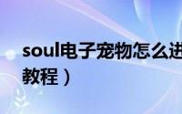 soul电子宠物怎么进入（soul电子宠物进入教程）