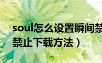 soul怎么设置瞬间禁止下载（soul设置瞬间禁止下载方法）