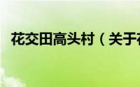 花交田高头村（关于花交田高头村的简介）