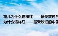 花儿为什么这样红——最受欢迎的中国经典影视歌曲全纪录（关于花儿为什么这样红——最受欢迎的中国经典影视歌曲全纪录的简介）