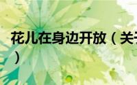 花儿在身边开放（关于花儿在身边开放的简介）