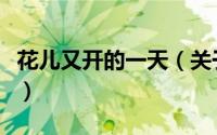 花儿又开的一天（关于花儿又开的一天的简介）