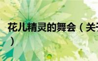 花儿精灵的舞会（关于花儿精灵的舞会的简介）