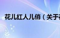 花儿红人儿俏（关于花儿红人儿俏的简介）