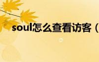 soul怎么查看访客（soul查看访客方法）