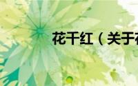 花千红（关于花千红的简介）