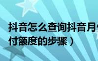 抖音怎么查询抖音月付额度（抖音查询抖音月付额度的步骤）