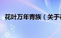 花叶万年青族（关于花叶万年青族的简介）