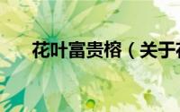 花叶富贵榕（关于花叶富贵榕的简介）