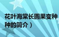 花叶海棠长圆果变种（关于花叶海棠长圆果变种的简介）