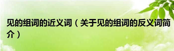 見的組詞的近義詞關於見的組詞的反義詞簡介