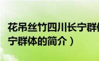 花吊丝竹四川长宁群体（关于花吊丝竹四川长宁群体的简介）