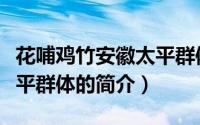 花哺鸡竹安徽太平群体（关于花哺鸡竹安徽太平群体的简介）