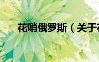 花哨俄罗斯（关于花哨俄罗斯的简介）