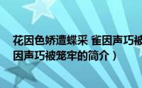 花因色娇遭蝶采 雀因声巧被笼牢（关于花因色娇遭蝶采 雀因声巧被笼牢的简介）