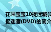 花园宝宝10捉迷藏(DVD)（关于花园宝宝10捉迷藏(DVD)的简介）